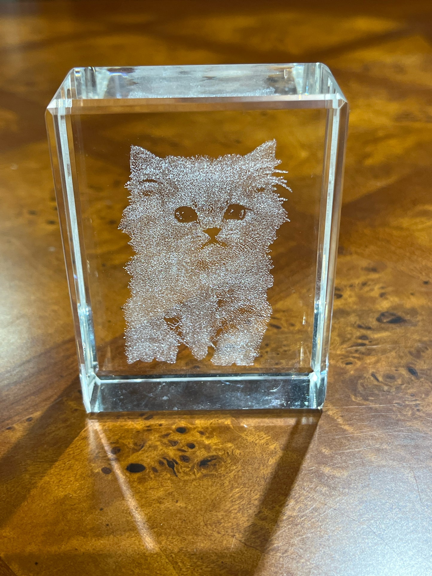 Glass Holographic Cat Portrait
