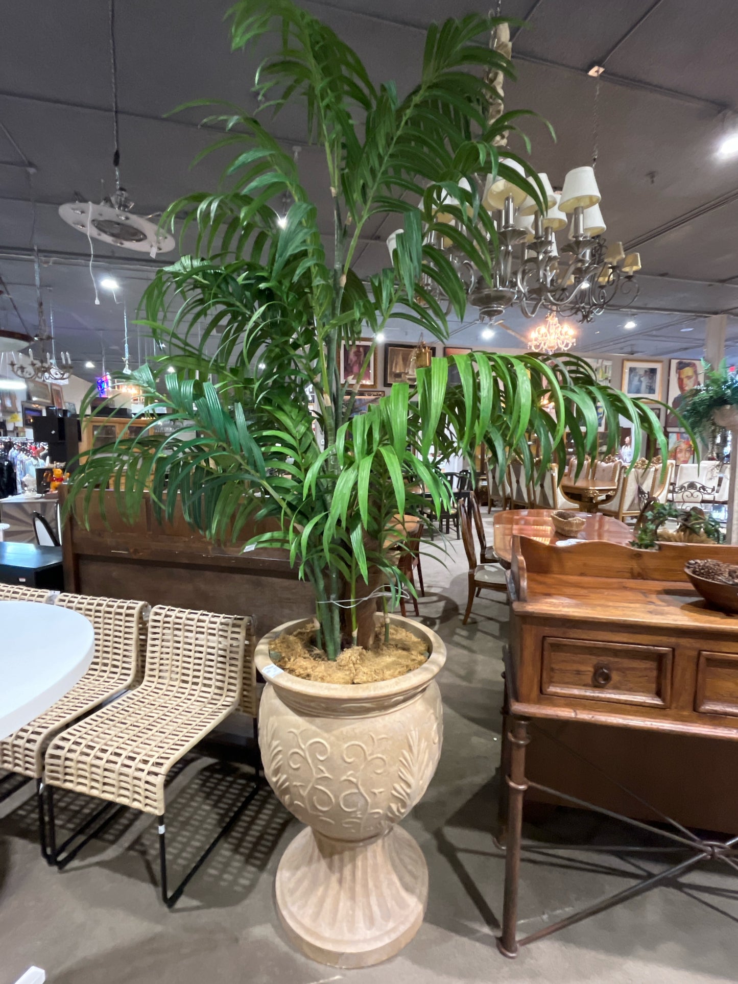 Large Concrete Urn With Faux Plant