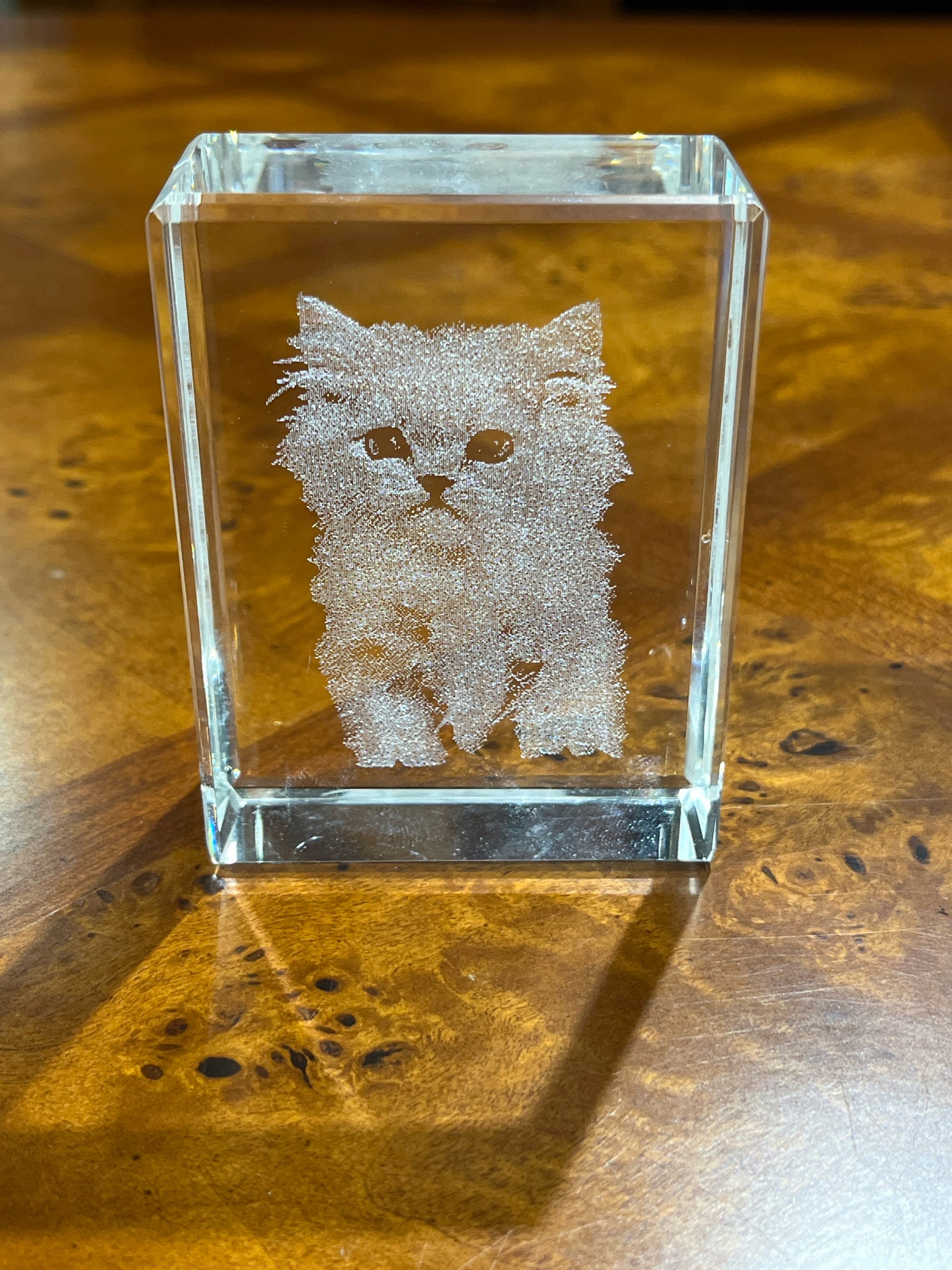 Glass Holographic Cat Portrait
