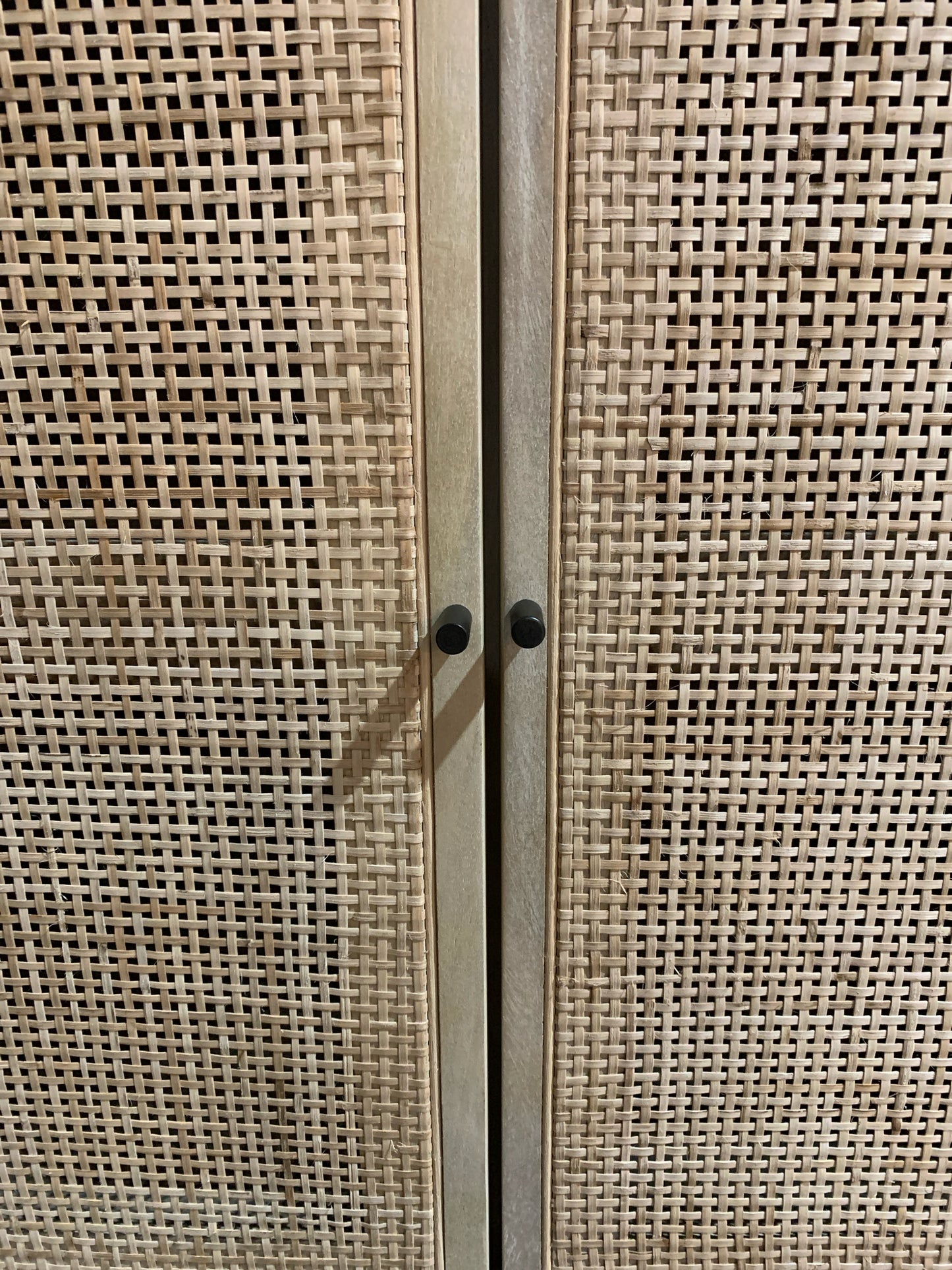 Four Hands 2 Door  Wood Cabinet