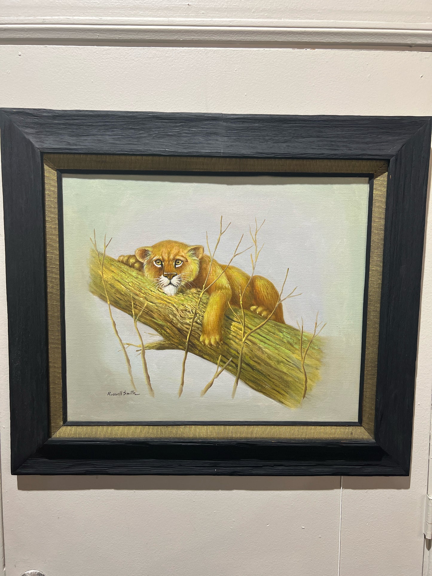 Lion Cub on Branch by Russell Smith Dark Driftwood frame