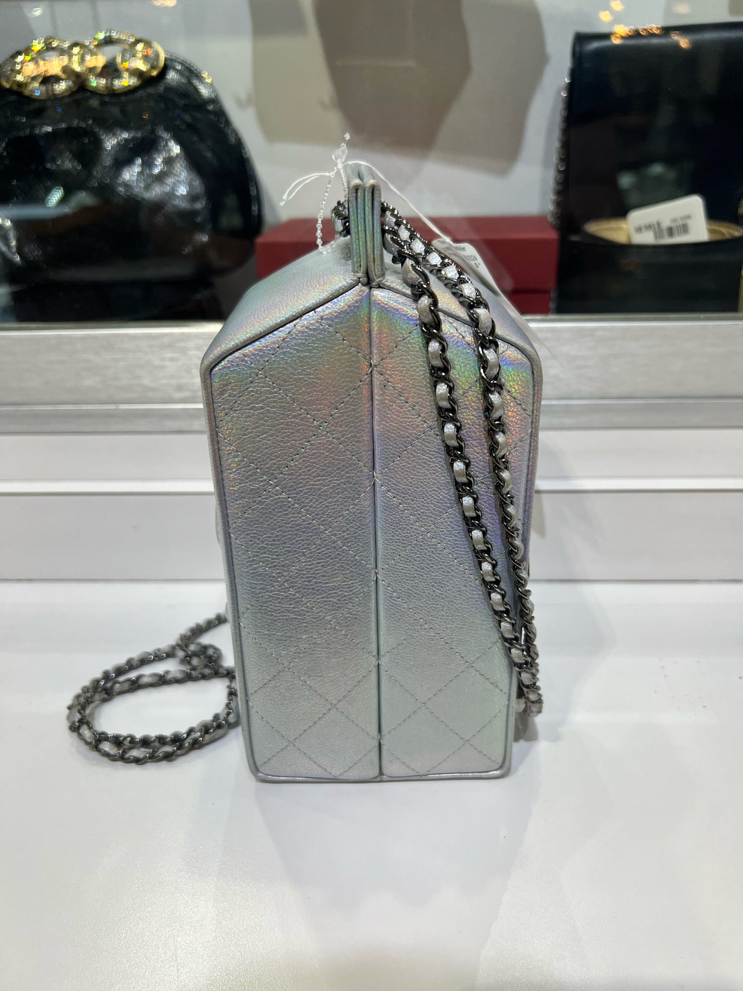 Chanel Iridescent "Lait de COCO"  Purse